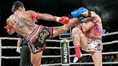 Personalne treningi z boksu , kickboxingu , muay thai Poznań